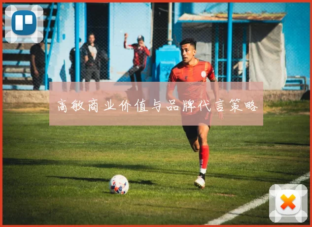 高敏商业价值与品牌代言策略