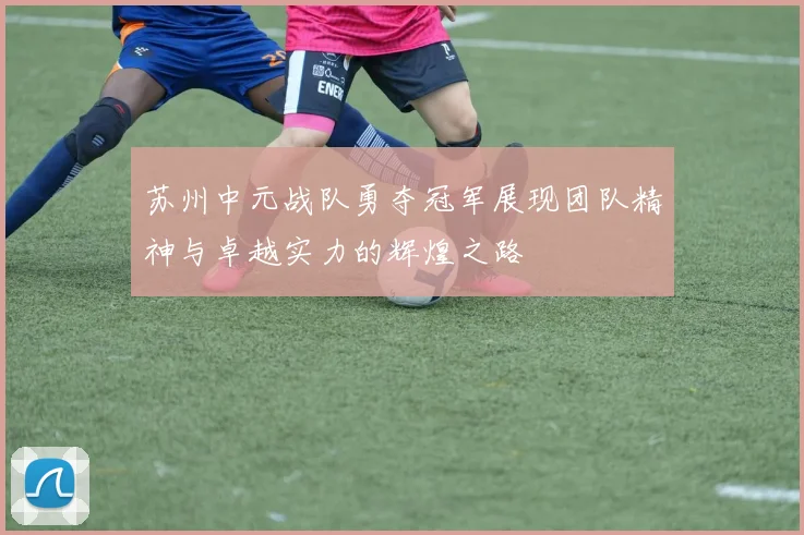 苏州中元战队勇夺冠军展现团队精神与卓越实力的辉煌之路