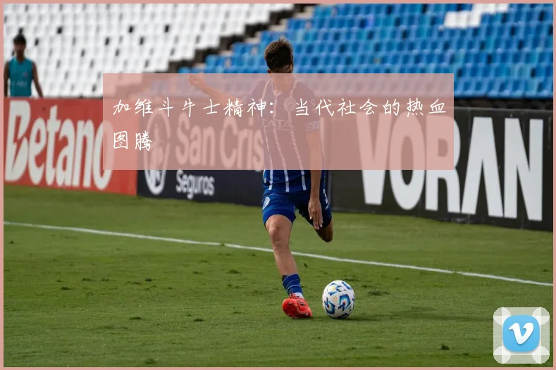 加维斗牛士精神：当代社会的热血图腾